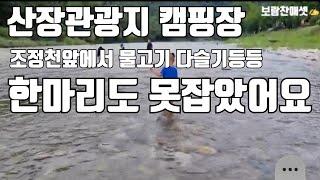 산장관광지 캠핑장 앞 조정천에서 물놀이 했어요