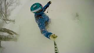 Niseko Hanazono Powder Day - 29 December 2017