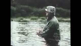 Ted Williams and the Atlantic Salmon