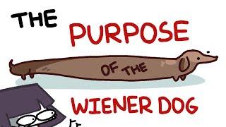 the dark history and purpose of the wiener dog.