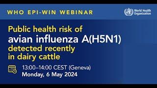 WHO EPI-WIN Webinar: Public health risk of avian influenza A(H5N1) detected recently in dairy cattle