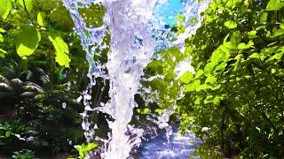 Tropical Waterfall White Noise | Sleep, Study, Focus with Relaxing Water Sounds | 10 Hours