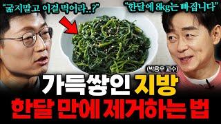 비만 연구만 33년, 의사가 말하는 딱 1달 만에 8kg 빼는 방법  | 최석재의 응급진료 [박용우] 2부