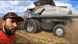 I DRIVE A GLEANER @BriansFarmingVideos