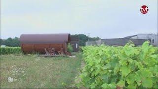 Hébergement insolite à Cheverny : Dormir dans un... tonneau