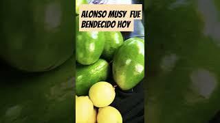 Alonso senbro en tierra ajena  y cosecho