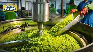 Avocado And Guacamole MEGA FACTORY: A Guacamole Mass Production Line!