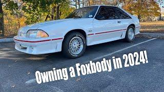 Quirks and Features of owning a Foxbody Mustang in 2024!