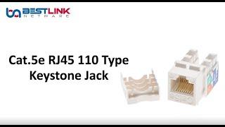 Bestlink Netware Cat.5E 110 Type Keystone Jack