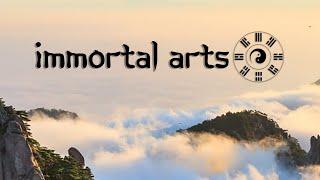 Welcome to Immortal Arts Academy ︎