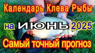 Календарь клева на ИЮНЬ 2025 Прогноз клева рыбы Лунный Календарь рыбака 2025!