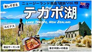 19【ニュージーランド】美しすぎるテカポ湖で食べる絶品サーモン丼｜善き羊飼いの教会｜一面のルピナス｜ミルキーブルーの湖｜Lake Tekapo,New Zealand