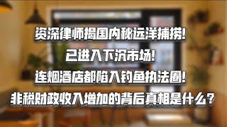 中国非税财政收入增加的背后！中国经济增长乏力，资深律师揭秘国内秘远洋捕捞执法！已进入下沉市场！连烟酒店都陷入钓鱼执法圈！