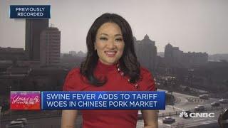 Swine fever outbreak adding pressure to Chinese economy | Squawk Box Asia