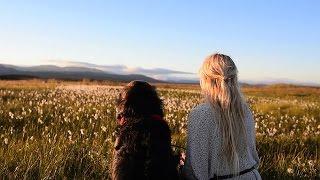 Life on the roads - Me and Nanook on a roadtrip