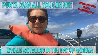 Whale watching in the bay of Samana.  Punta Cana all you can see with  Mike Fisher Tours &Travel.