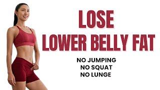 Get Rid of Lower Belly Fat in 7 Days 15 MIN Standing WorkoutㅣNo Jumping, No Squat, No Lunge