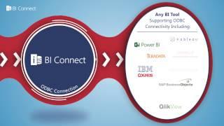 iServer BI Connect