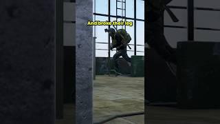 DayZ in a Nutshell...