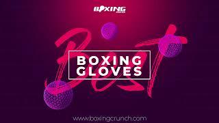 10 Best Boxing Gloves in 2020 - Buyer's Guide