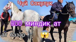 29.Сентябрь Эң чоң базар ачылды Жылкы базар Сокулукта 8. гектарга