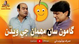 Gamoo San Mehman Ji Wedhan | Asif Pahore (Gamoo) | Sohrab Soomro