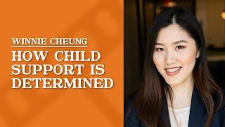 How Child Support is Determined | Winnie Cheung