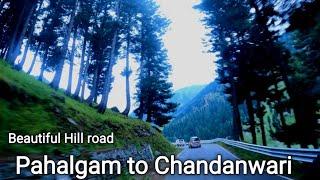 Pahalgam to Chandanwari by road | पहलगाम से चंदनवाड़ी का रास्ता |