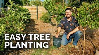 How to Plant Fruit Trees: The Complete Guide