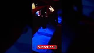 BRIGHT LED Interior Kit  #rgb #led #ledlighting #ledkit #fypシ #automotivelighting #ledlights
