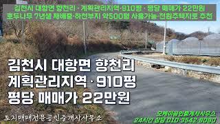 김천시 대항면 향천리 계획관리지역 답 910평  호두나무 7년생 컨테이너 농막 평당 매매가 22만원