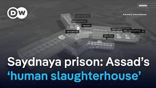 Assad regime imprisoned hundreds of thousands in Syria | DW News