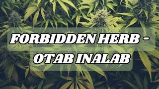 Otab Inalab - Forbidden Herb (Official Lyric Video)