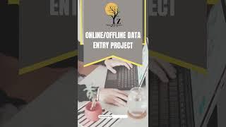 Online/Offline Data Entry Project | Zoetic BPO Services