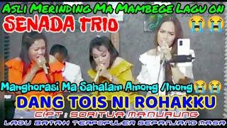 " DANG TOIS NI ROHAKKU " Cover By SENADA TRIO - Cipt : Soritua Manurung @hangganeriksonchannel8093