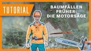 Baum fällen im Wandel der Zeit: Die Motorsäge I Tutorial-Special der Bayerischen Staatsforsten