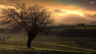 Thomas Newman - Piano Concerto No. 5