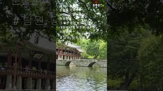 #춘향아.#2.#박서진.#현역가왕2