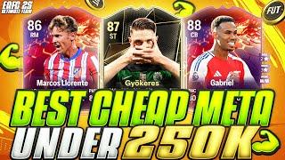 BEST CHEAP META PLAYERS UNDER 250K/100K/50k ON EACH POSITION!CHEAP + EXPENSIVE FC 25 ULTIMATE TEAM