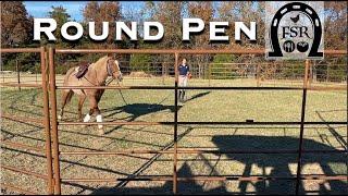Setting Up A ROUND PEN For Training The Horses.