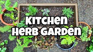 DIY Herb Garden For Beginners | DIY Kitchen Herb Garden