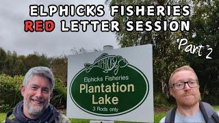 PART 2 - ELPHICKS PLANTATION LAKE - How many fish?! @sifishes