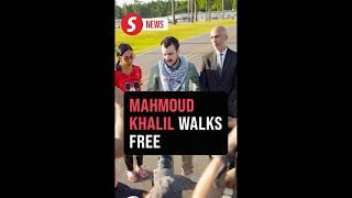 Pro-Palestinian activist Mahmoud Khalil walks free after US judge orders his release