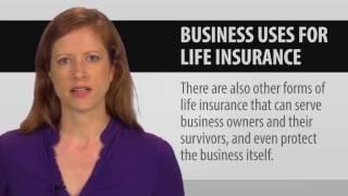 11   Uses of Life Insurance