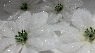 borax crystalized flowers