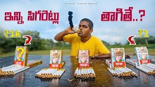 Smoking Cheap vs Costly Cigarettes - Shocking Results ?    Telugu Experiments Family