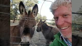 Best Real Estate Agents  Real Estate Agent Evergreen Colorado   Real Estate Broker Denver Colorado