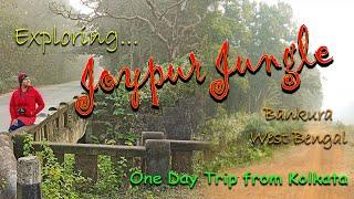 Joypur Jungle Safari ǁ Bankura,West Bengal ǁ Weekend destination from Kolkata