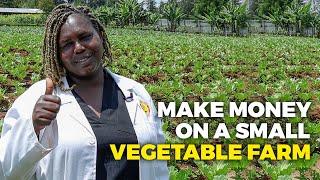 How to Make Money on a Small Farm: Profitable Vegetable Farming for a Small Farmer