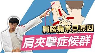 【常常肩膀痛嗎？肩膀痛最常見的肩夾擊症候群！】除了五十肩，你更應該知道的原因！｜MIDWAY米蔚健康教室 EP28